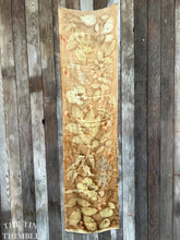 Load image into Gallery viewer, Botanical Printed Pure Silk Scarf by Sharon Mansfield - Natural Leaves Printed on Luxurious Shiny Silk - Colorfast & Washable