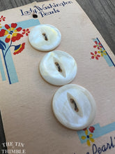 Load image into Gallery viewer, Vintage "Lady Washington Pearls" Mother of Pearl Buttons - Set of 3 - 20mm