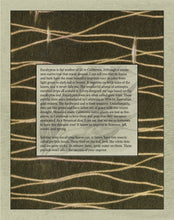 Load image into Gallery viewer, Lasting Impressions - A Practical Guide in the Art of Botanical Dyeing by Sharon Mansfield - Eco Print, Eco Dyeing, Natural Dyeing