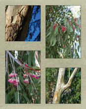 Load image into Gallery viewer, Lasting Impressions - A Practical Guide in the Art of Botanical Dyeing by Sharon Mansfield - Eco Print, Eco Dyeing, Natural Dyeing