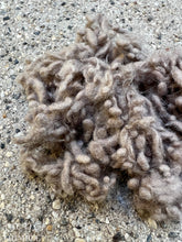 Load image into Gallery viewer, Earth Brown/Taupe Wool Nepps or Nibs for Felting by DHG / 1/8 Oz or More / Commercially Dyed Textural Fibers for Nuno or Wet Felting