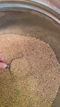 Load and play video in Gallery viewer, Ground Walnut Shells Great for Stuffing and Pin Cushion Filling / 1 Lb or 453 Grams / Crushed Walnut Shells Product of USA
