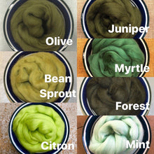 Load image into Gallery viewer, Forest Merino Wool Roving - 21.5 micron -1 oz - For Nuno Felting, Wet Felting, Weaving, Spinning and More
