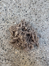 Load image into Gallery viewer, Earth Brown/Taupe Wool Nepps or Nibs for Felting by DHG / 1/8 Oz or More / Commercially Dyed Textural Fibers for Nuno or Wet Felting

