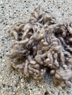 Earth Brown/Taupe Wool Nepps or Nibs for Felting by DHG / 1/8 Oz or More / Commercially Dyed Textural Fibers for Nuno or Wet Felting